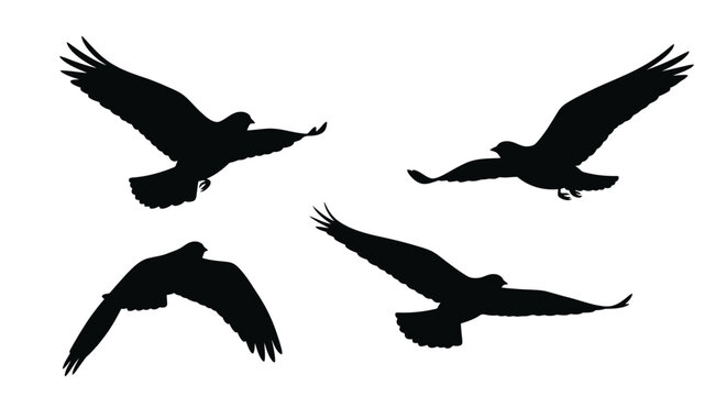 Four birds in flight depicted as a striking black silhouette