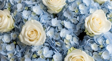 Obraz premium Beautiful bouquet of white roses and blue hydrangeas in full bloom
