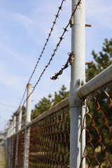 Fototapeta premium 切断された有刺鉄線と青空。危険イメージ素材。