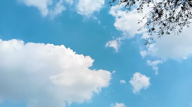 4K Time-lapse of Fluffy White Cumulus Clouds in a Bright Blue Summer Sky with Tree Branches