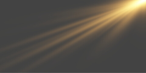 Ethereal golden dust particles floating in warm light beam over black © LILIIA SMIRNOVA