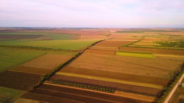 Golden agricultural patchwork fields landscape aerial drone view. High altitude drone view of colorful agricultural patchwork fields forming geometric farming landscape.