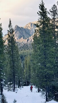 Hiking in the mountains of Bozeman