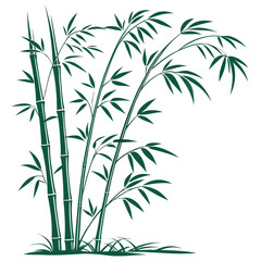 Naklejka premium Bamboo Plant