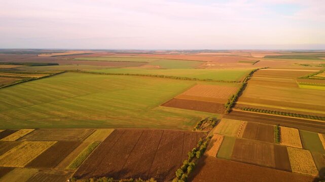 Colorful agricultural patchwork landscape aerial drone panorama. Drone panoramic aerial view of multicolored agricultural fields forming geometric rural landscape.