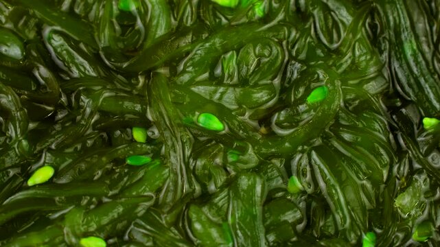 Green chuka seaweed salad circle rotation close up