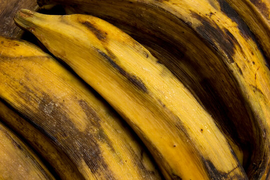 Steamed saba bananas isolated on white background. Saba bananas are nutrient-dense cooking bananas packed with vitamins A, B, and C, potassium, and high dietary fiber. They boost immunity, enhance dig