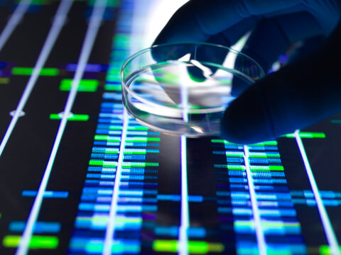 Gloved hand holds petri dish over illuminated DNA sequencing data on a screen.