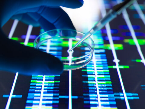 A gloved hand holds a petri dish above a DNA sequencing analysis display.
