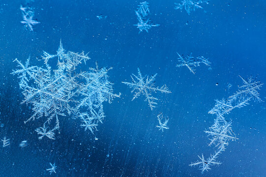 Detailed and delicate snowflakes rest on a smooth blue glass surface. Canada