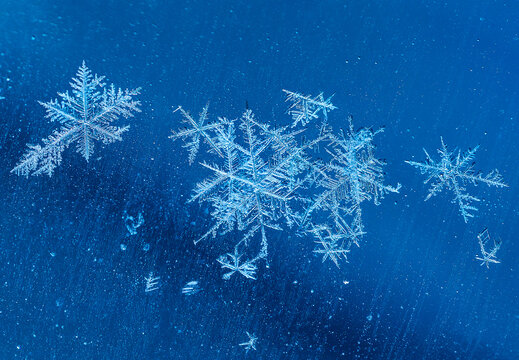 Close-up of intricate snowflakes on a deep blue background. Canada