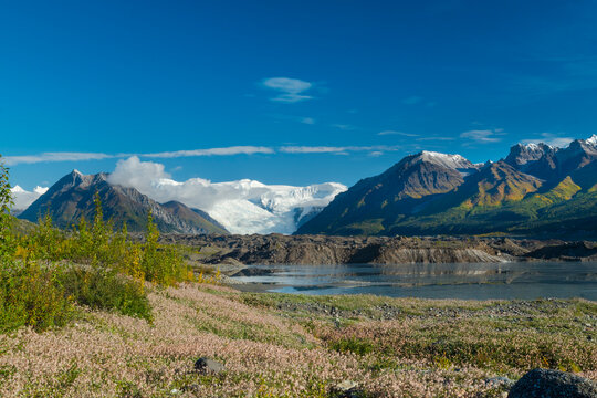 Majestic mountain landscape with clear blue sky, glacier, and lush green foreground. Wrangell St. Elias National Park, Alaska, USA