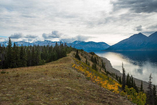 A serene landscape with a forested ridge, calm lake, and distant mountains under a cloudy sky. Yukon Territory, Canada
