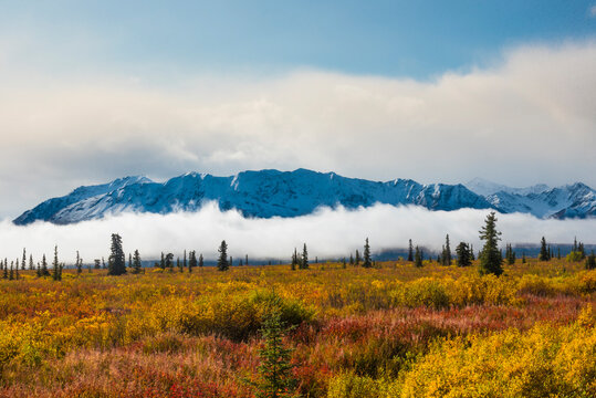 Majestic snowy mountains with vibrant autumn foliage and misty clouds in the foreground. South Central Alaska, USA