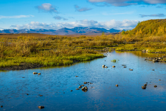 A serene landscape with a shallow river, grassy fields, and distant mountains under a blue sky. Yukon Territory, Canada