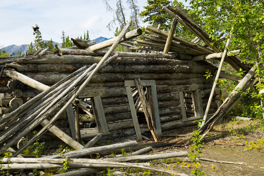 Weathered wooden cabin in forest, partially collapsed with logs and greenery around. Silver City, Canada