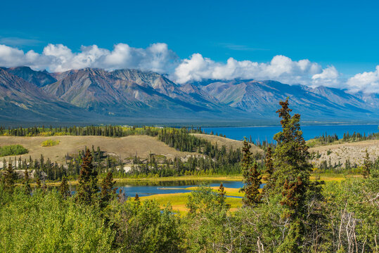 A scenic landscape with mountains, a lake, and vibrant green trees under a bright blue sky. Yukon Territory, Canada