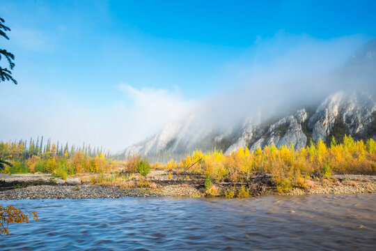 Misty mountains and autumn foliage by a flowing river under a clear blue sky. Yukon Territory, Canada
