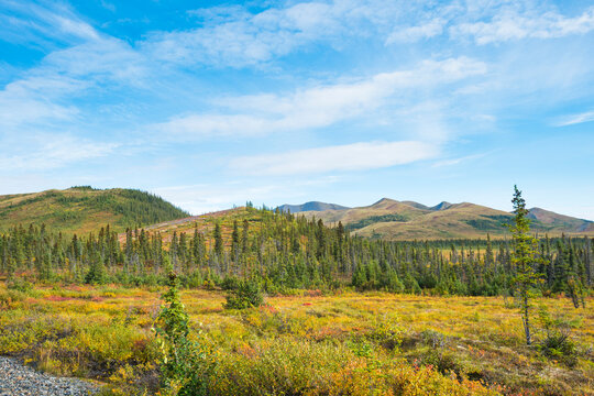 Scenic view of lush landscape with mountains and clear blue sky. Yukon Territory, Canada