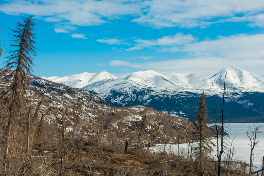 Snow-capped mountains under a bright blue sky with rocky terrain and scattered trees. Skilak Lake, Kenai Peninsula, Alaska, USA