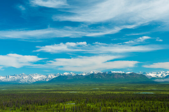 Vast landscape with lush green plains, dense forest, and majestic snow-capped mountains under a blue sky. Denali Highway, Alaska