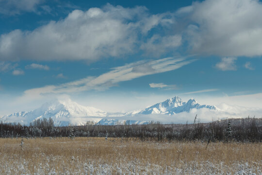 Snow-capped mountains under a cloudy sky with a grassy field in the foreground. Wasilla, Alaska, USA