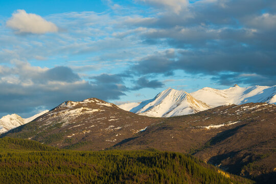 Snow-capped mountains under a partly cloudy sky with a forested landscape in the foreground. Healy, Alaska, USA
