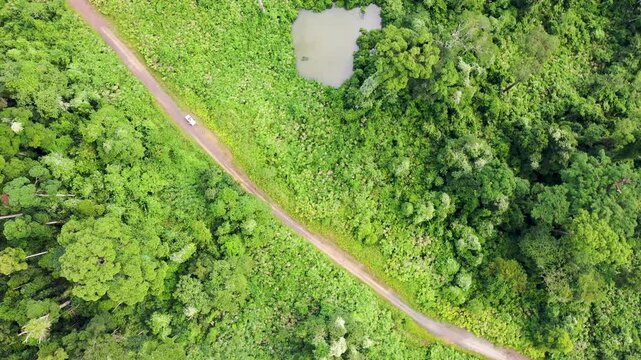 Aerial view of tropical rain forest Danum Valley and gravel road in Lahad Datu Sabah Malaysia