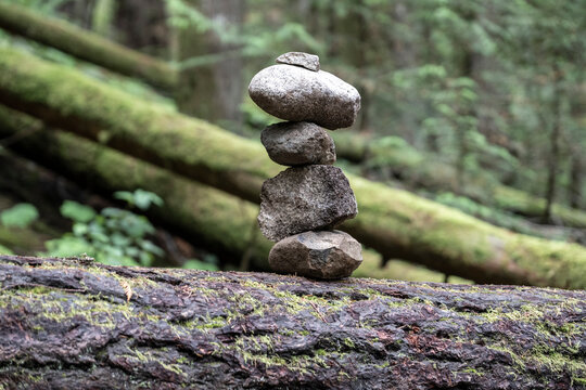 Stacked stones balanced on a fallen moss-covered tree in a lush forest setting. Errington, Vancouver Island, Canada