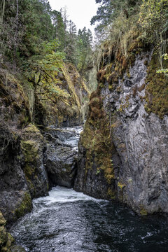 A serene river flows through a rocky gorge surrounded by lush green forest and mossy cliffs. Errington, Vancouver Island, Canada