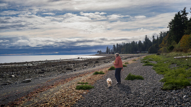 Person walking a dog along a rocky beach under a cloudy sky with distant trees. Bowser, Vancouver Island, Canada