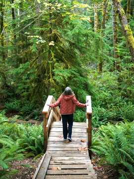 Woman in red jacket standing on wooden bridge in lush green forest, surrounded by tall trees. Bowser, Vancouver Island, Canada