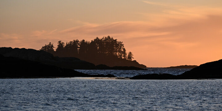 A serene coastal sunset over calm waters with silhouetted trees and distant landforms. Ucluelet, Vancouver Island, Canada