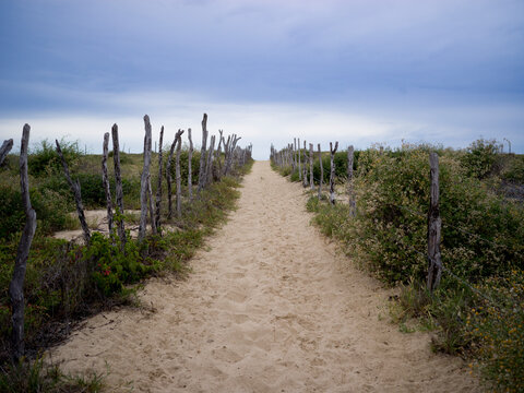 Sandy path bordered by rustic wooden fences under an overcast sky. Todos Santos, Mexico