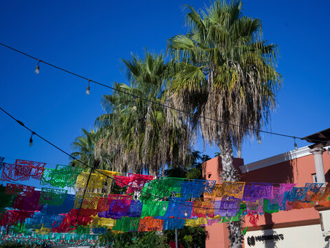 Colorful papel picado decorations hanging under tall palm trees against a clear blue sky. San Jose del Cabo, Baja California Sur, Mexico
