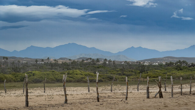 Wooden posts in a sandy desert landscape with distant mountains under a cloudy sky. Todos Santos, Mexico