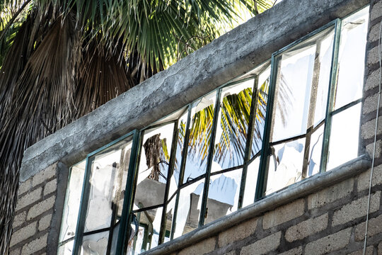 Broken windows in a brick building reflect palm trees under bright daylight. Todos Santos, Mexico