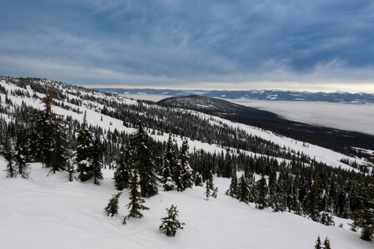 Snow-covered mountain slope with evergreen trees under a cloudy blue sky. Big White Mountain, British Columbia, Canada