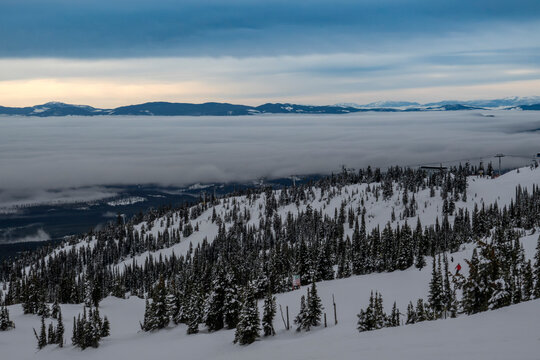 Snow-covered mountain slope with evergreen trees and distant cloud-filled valley under a cloudy sky. Kootenay Boundary, British Columbia, Canada