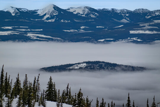 Snowy mountain peaks rising above a sea of clouds with evergreen trees in the foreground. Kootenay Boundary, British Columbia, Canada