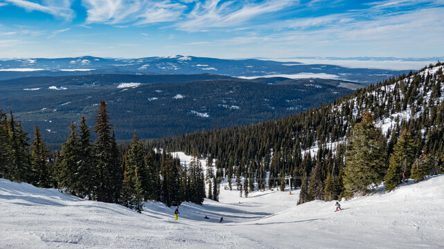 Snow-covered mountain slopes with skiers under clear blue skies and evergreen trees. Kootenay Boundary, British Columbia, Canada