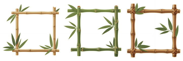 Fototapeta premium Bamboo frames with green leaves nature