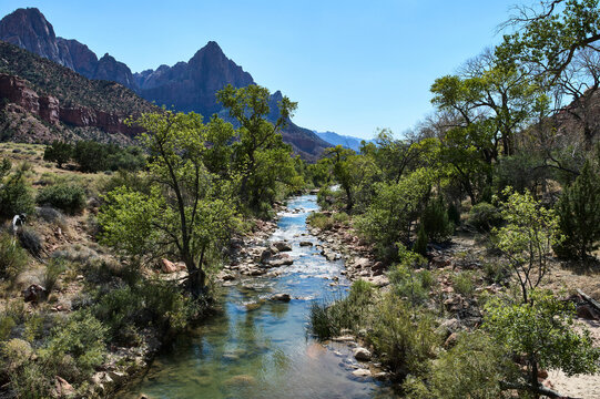 Serene river flowing through lush valley against mountainous backdrop under clear blue sky. Zion National Park, Utah, USA