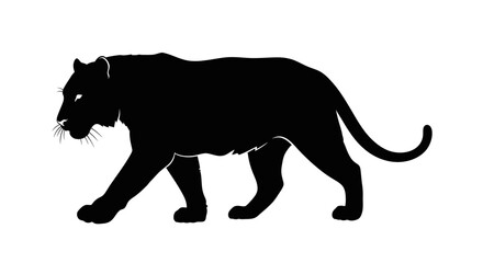Obraz premium Silhouette of a black panther walking, side profile, isolated on white background.