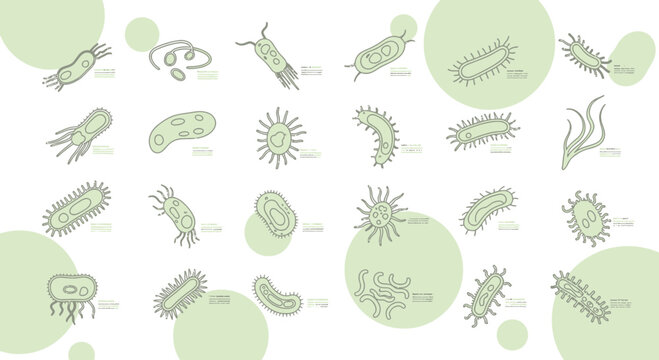 Diverse Collection of Hand-Drawn Bacteria and Microorganisms on White Background