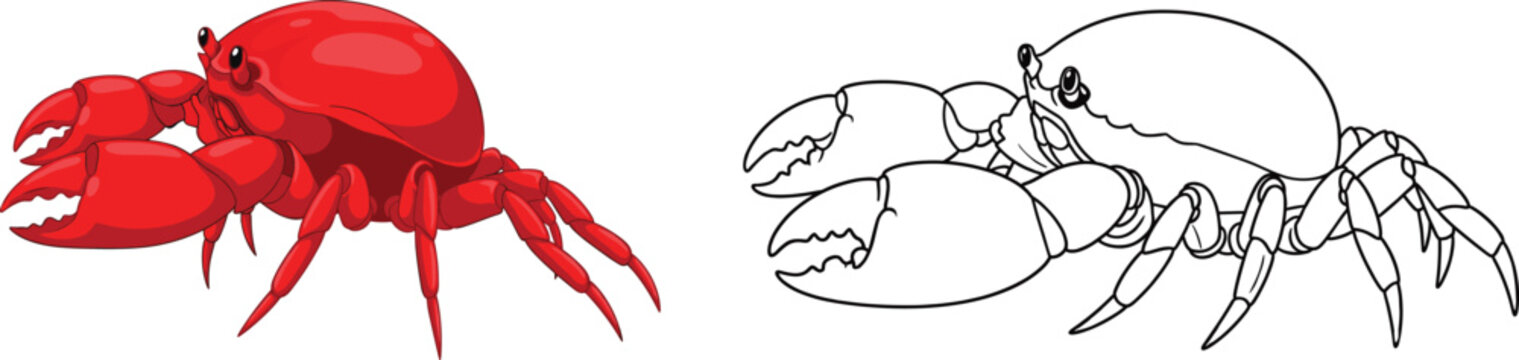 Silhouette of a red colored creature next to a colored version possibly a crab or lobster against a white background silhouette