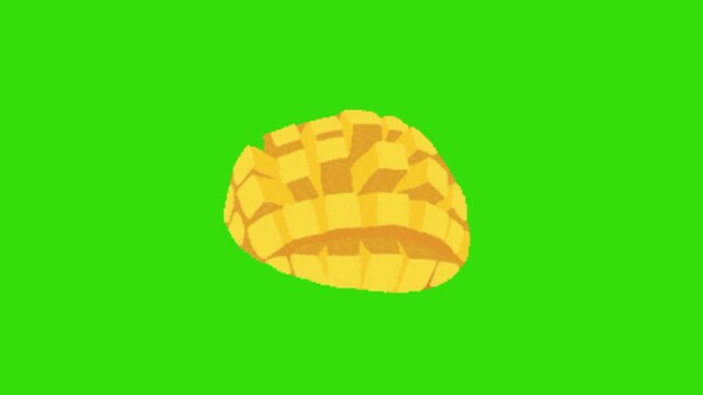 vector illustration of a mango