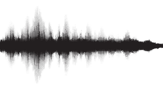 Black sound wave visualization on white background representing audio frequency.