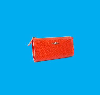 wallet. woman wallet on a background