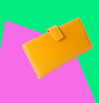 wallet. woman wallet on a background